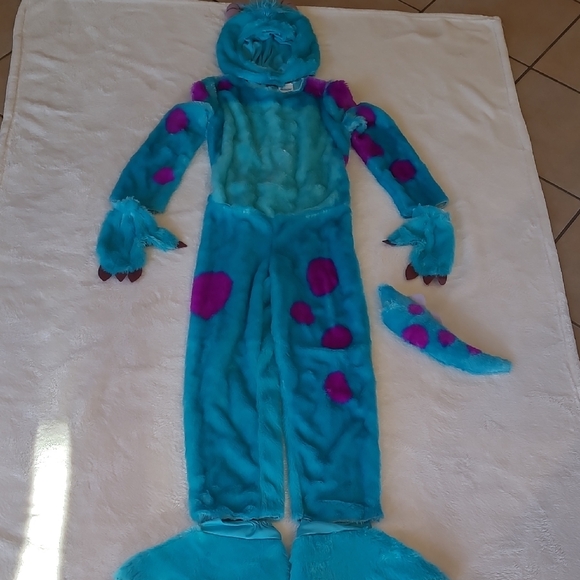 Pixar | Costumes | Disney Pixar Sully Monsters University Costume 12 ...